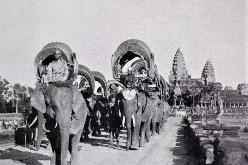 angkor royal elephants