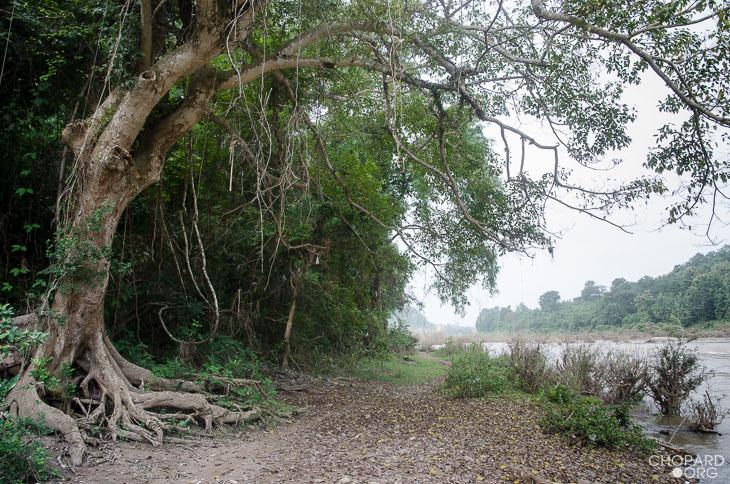 riverbank next to Mouhot's tomb